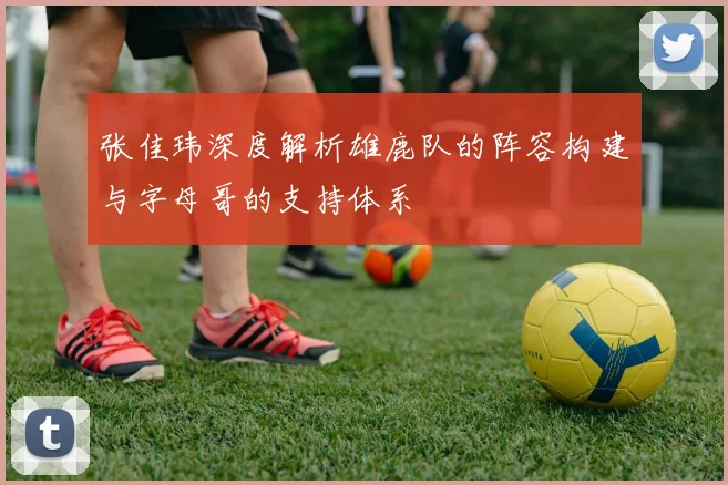 张佳玮深度解析雄鹿队的阵容构建与字母哥的支持体系