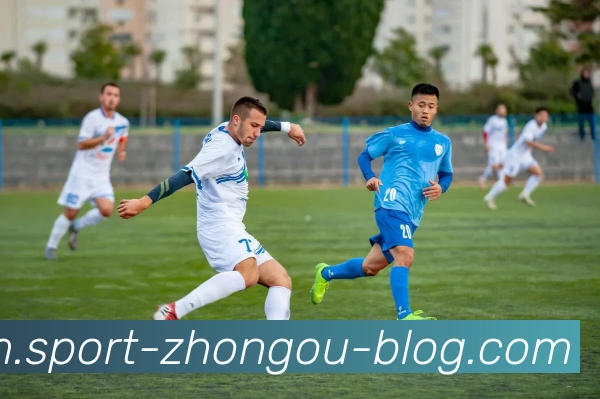 中欧体育发展历程